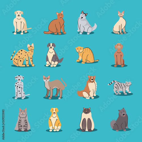 set of pets, different breeds of dogs and cats