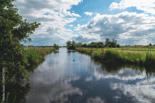 Ditch with duck, green grassland and typical Dutch cloudy sky that is reflected in the water. photo