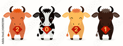 2021 Chinese New Year vector illustration with cute cartoon oxen holding cards with numbers, isolated on white. Design concept for holiday card, banner, poster, decor element, print, zodiac sign. © Maria Skrigan