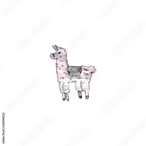 Lama watercolor illustration isolated object on white background. For design party or holiday invitation