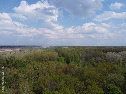 Blue cloudy skies over a dense forest  aerial view. Beautiful cloudy sky over the forest.