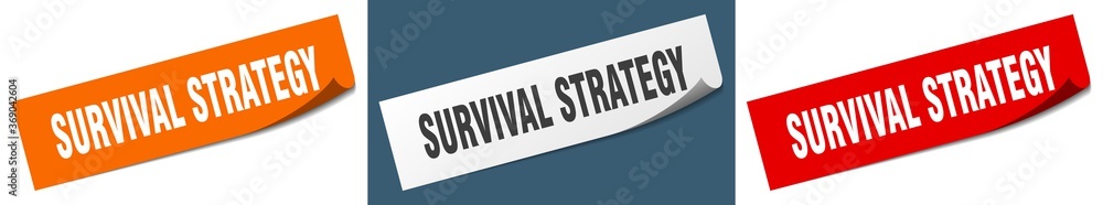 survival strategy paper peeler sign set. survival strategy sticker survival strategy paper peeler sign set. survival strategy sticker