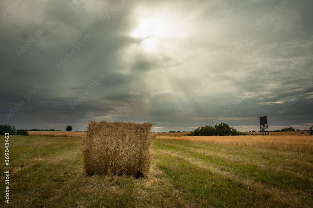 A bale of hay in the meadow and the glow of the sun from behind grey clouds
