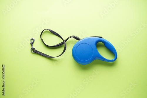 Blue retractable dog leash on a green background. Flat lay. photo