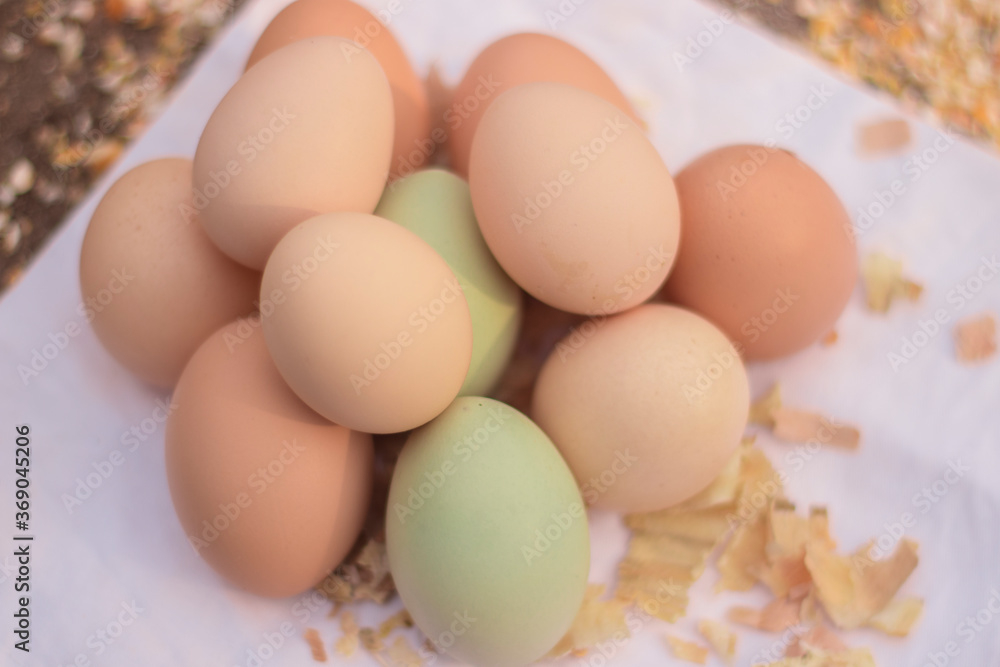 huevos huevos