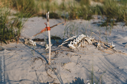 Φωτογραφία An animal carcass in the sand with a small cross of sticks.