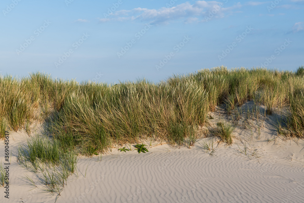 The green grass covered sand dunes of the Frisian island Juist in sunny summer light. The green grass covered sand dunes of the Frisian island Juist in sunny summer light.