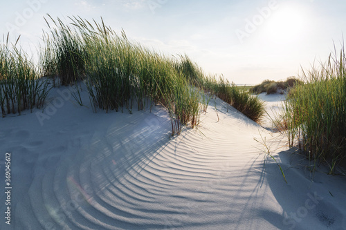 sand dunes on the beach of the german island Juist with morning sun and nice ripples of sand
