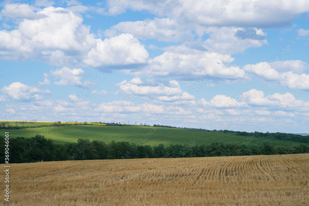 photo of a landscape field against the sky