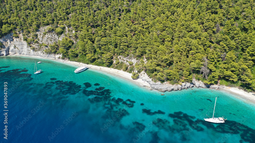 Obraz premium Aerial drone photo of breathtaking secluded turquoise beaches of Ftelia and Megalo Pefko in island of Skopelos, Sporades, Greece