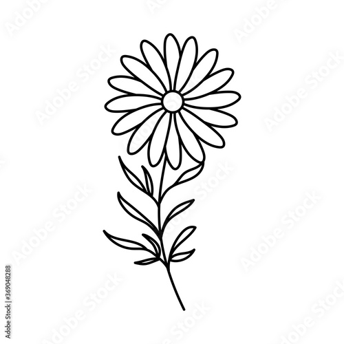 cute flowers on white background