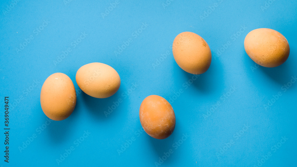 Lays eggs on blue background Lays eggs on blue background