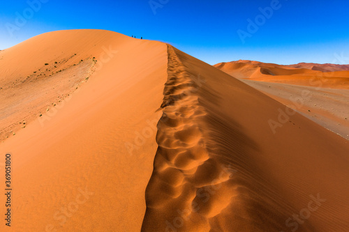 People silhouettes on giant orange sand dunes blue sky . African desert