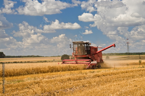 Kombajn zbierający pszenice