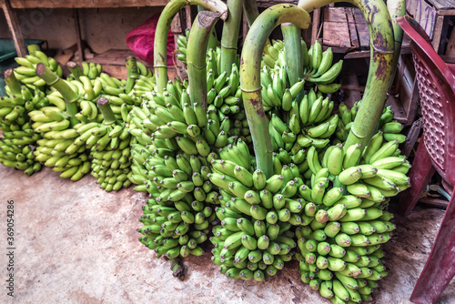 bunches of green bananas