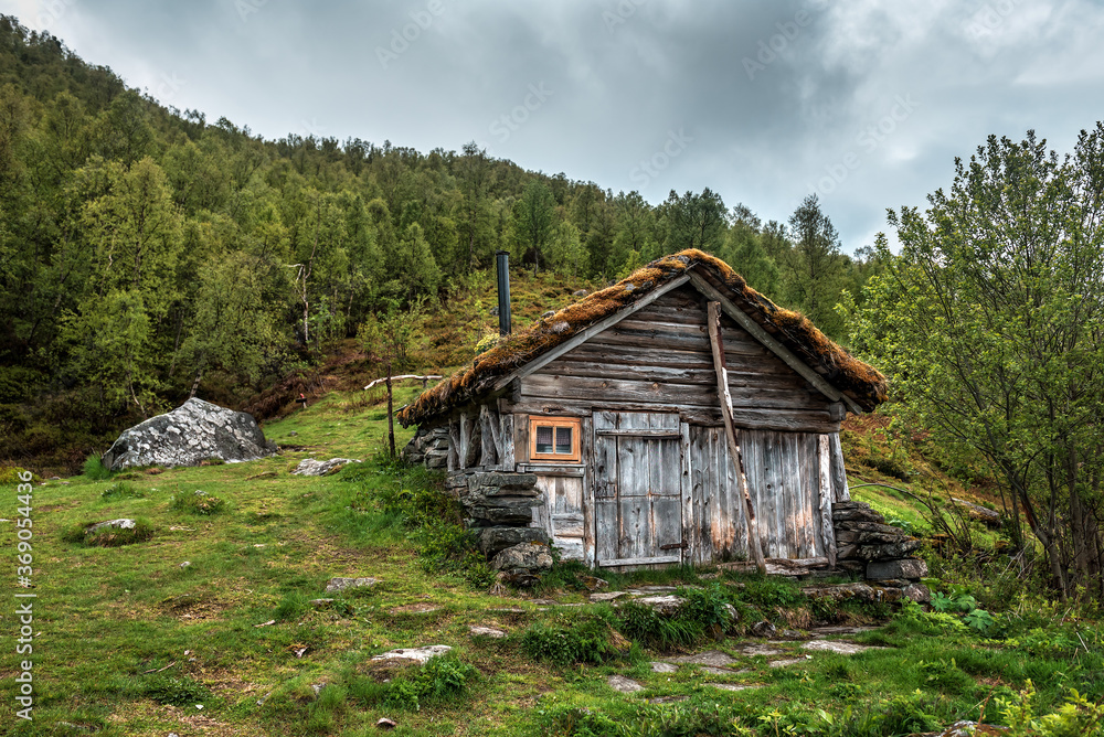 classic Scandinavian hut with grass roof