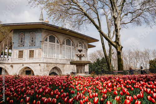 Topkap Palace in Istanbul, Turkey and field of red tulips in front