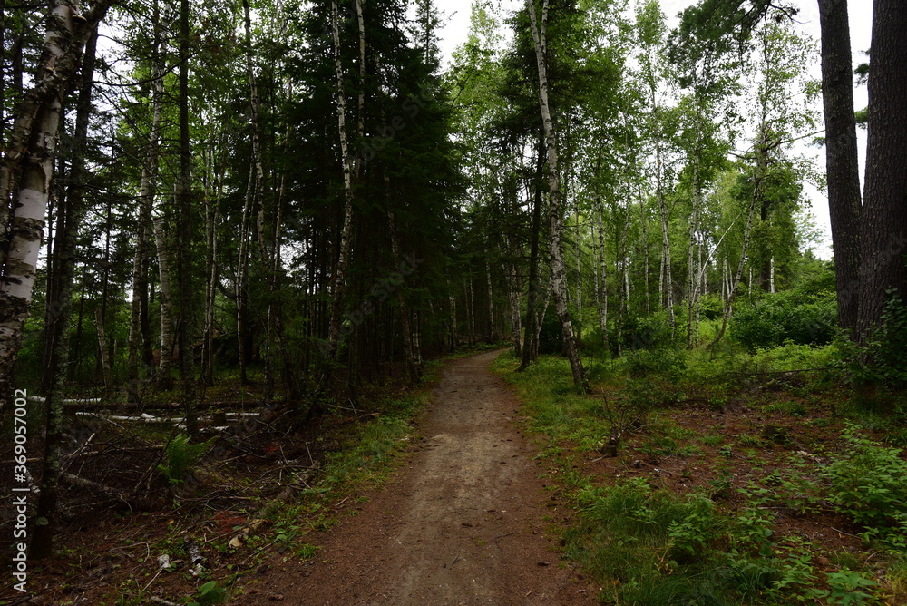 Bear Head Lake State Park