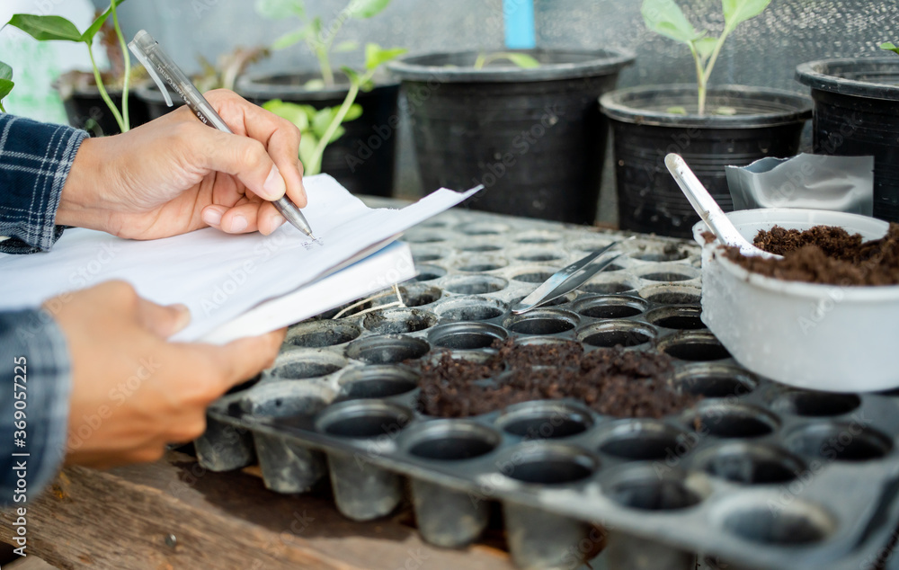 Agriculture's hand is writing a report showing the days of planting vegetables seeds on his notebook in the organic vegetable garden. Agriculture's hand is writing a report showing the days of planting vegetables seeds on his notebook in the organic vegetable garden.