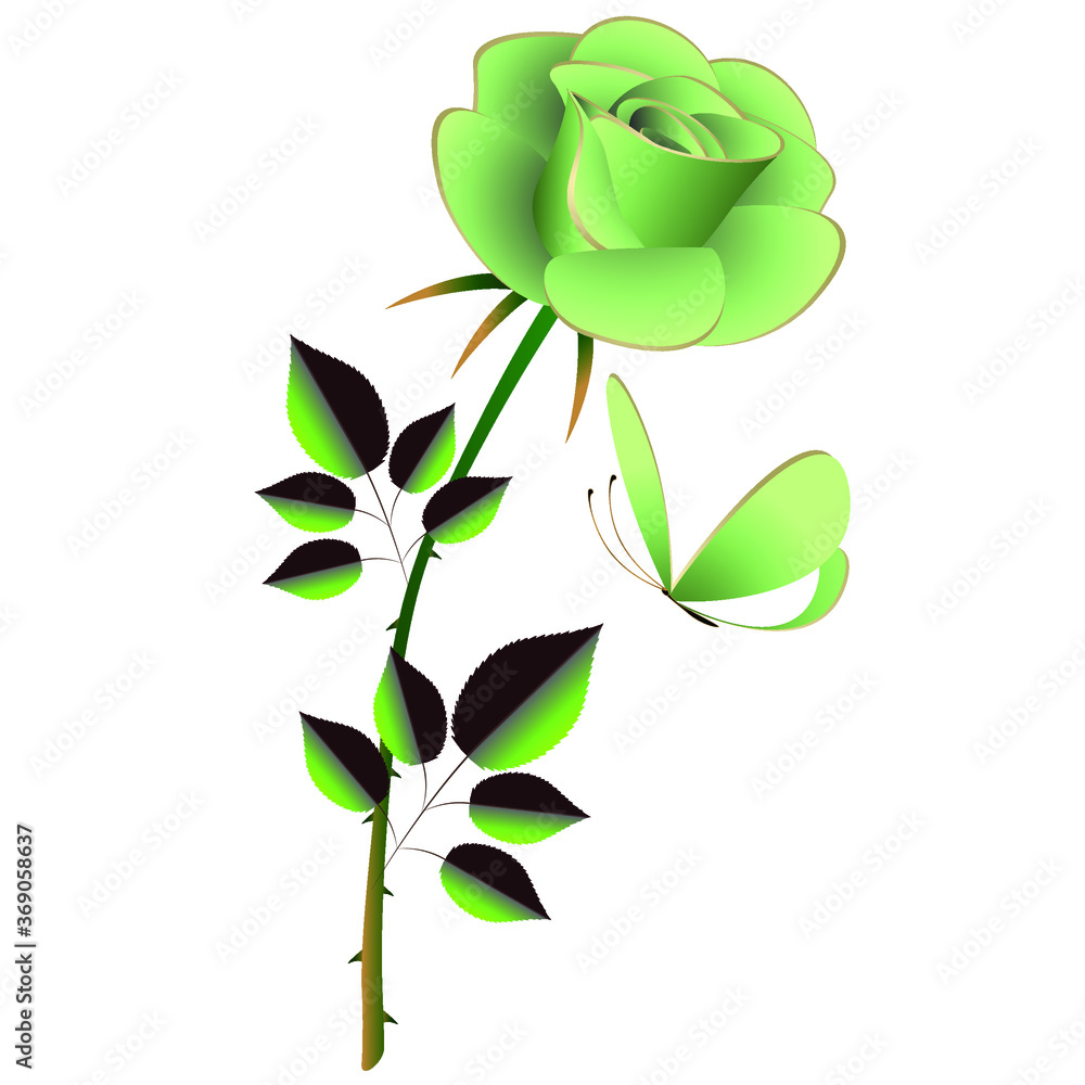 Obraz premium Rose with a butterfly in a light green color.