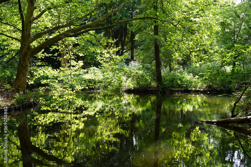 Naklejka premium Grüne, idyllische Wasserlandschaft im Berliner Tiergarten