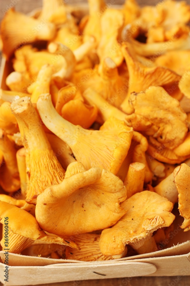 Chanterelle mushrooms on a wooden table macro Chanterelle mushrooms on a wooden table macro