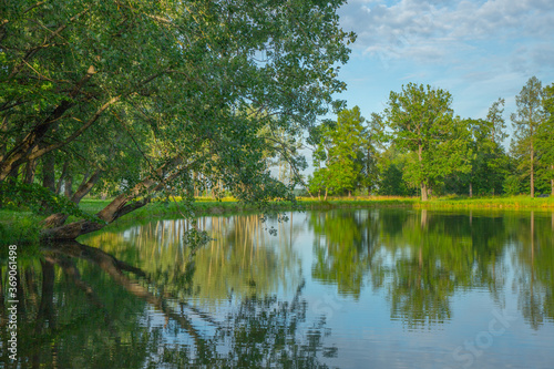 pond in the Park © FlyVi