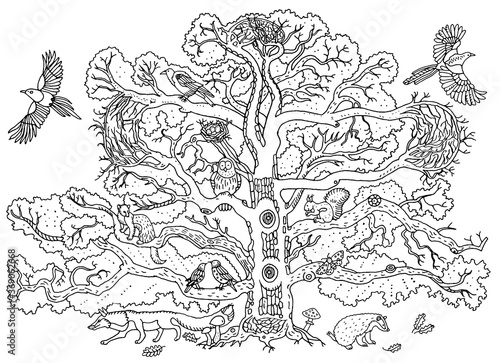Cute animals on the oak tree : magpie, crow, owl, starling, ferret, squirrel, badger, fox. Branches, leaves and mushrooms. Environment, nature. Hand drawn illustration. Coloring book page, postcard.