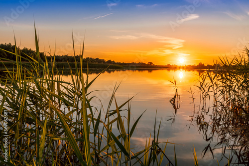 Scenic view at beautiful spring sunset with reflection on a shiny lake with green reeds  grass  golden sun rays  calm water  deep blue cloudy sky and glow on a background  spring evening landscape