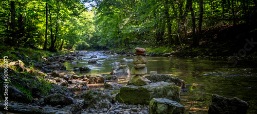 Wallpaper Mural beautiful river in the green forest. place for meditation  Torontodigital.ca
