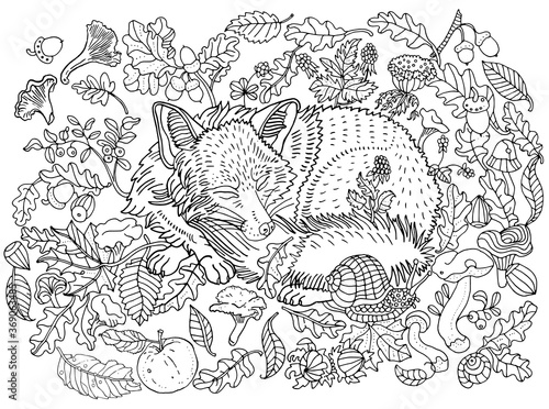Cute sleeping fox among leaves, nuts, mushrooms, flowers and berries. Environment, nature, forest, meadow, plants. Anti stress coloring book page, postcard, hand drawn children's illustration.