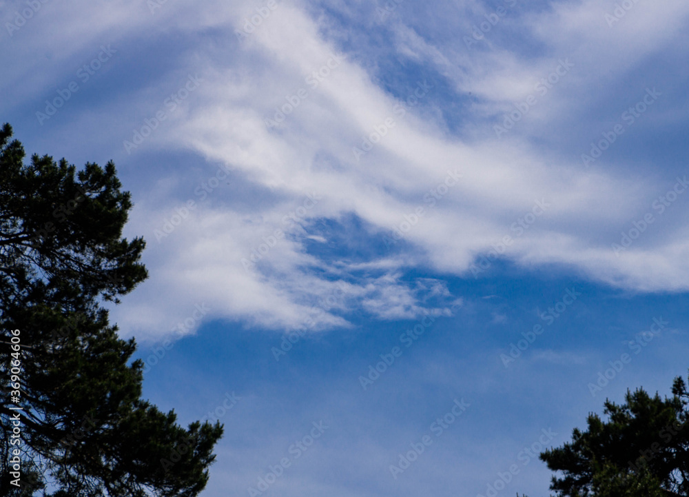 Blue sky and beautiful white cloud on the background of trees. Blue sky and beautiful white cloud on the background of trees.