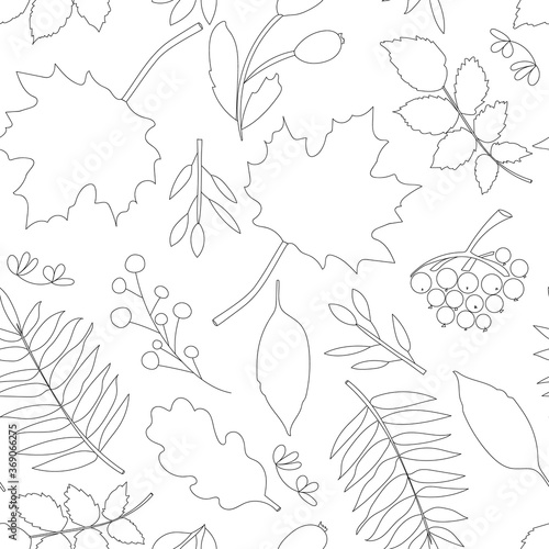 Leaves, berries and tree branches. Line drawing, seamless pattern. Autumn and summer design. For paper, cover, fabric, gift wrapping, wall art, interior decor.