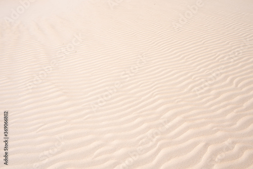 Golden sand in the dune, background of sand in the desert