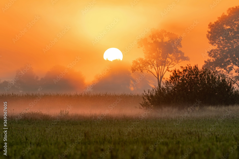 Sun rising above rural landscape in early summer morning Sun rising above rural landscape in early summer morning