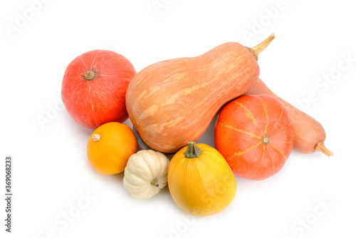 Pumpkins isolated over a white background.