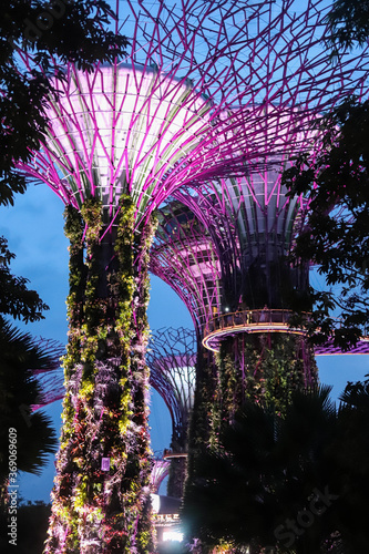 Singapore - January  2020 : Gardens by the Bay - SuperTree Grove in Singapore © Yaroslav