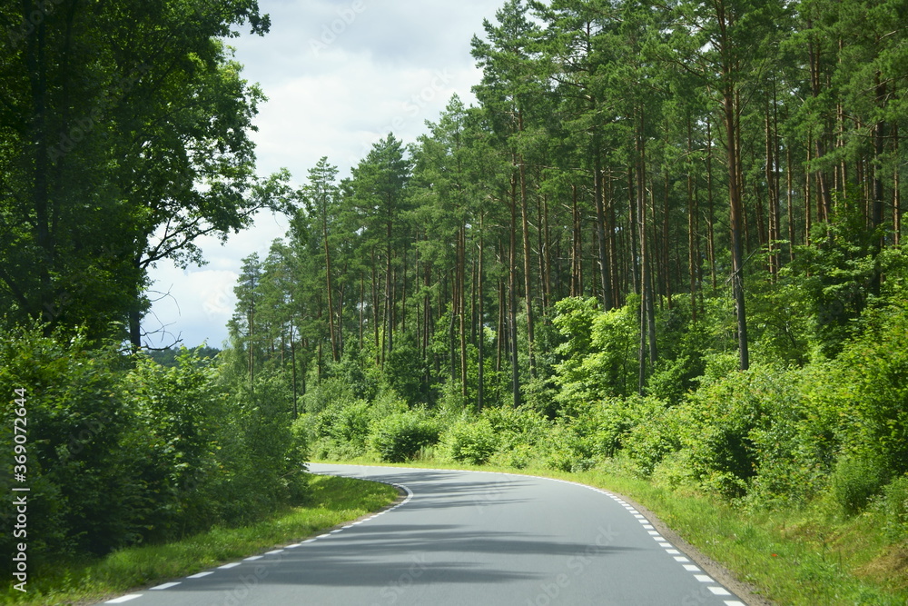 Obraz premium jagody