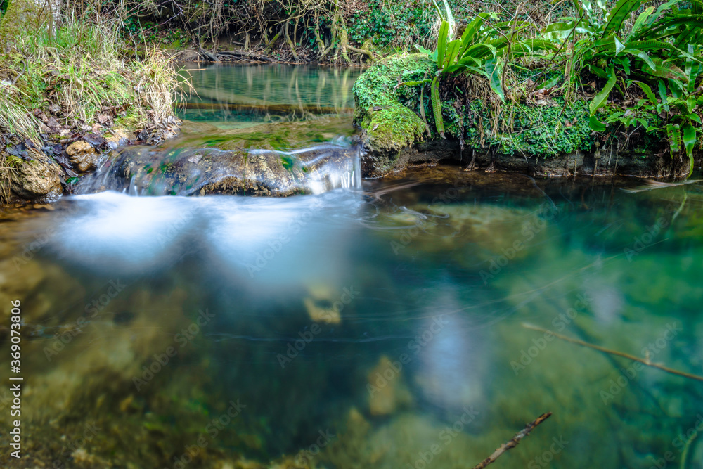 Small creek of water in the forest Small creek of water in the forest