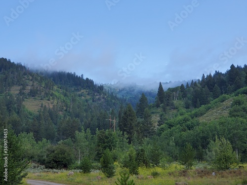 Wallpaper Mural Low clouds and tree covered hills Torontodigital.ca