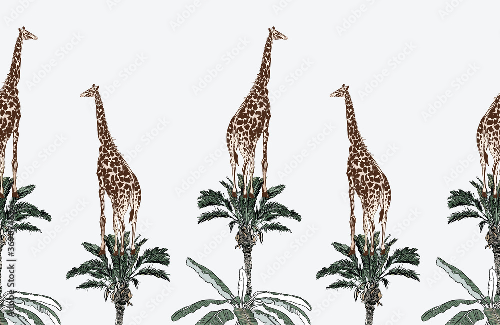 Giraffe Animal Print Border