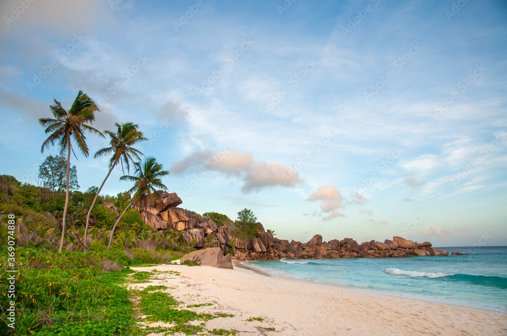 Tropical Beach with palm and blue sky. Seychelles Tropical Beach with palm and blue sky. Seychelles
