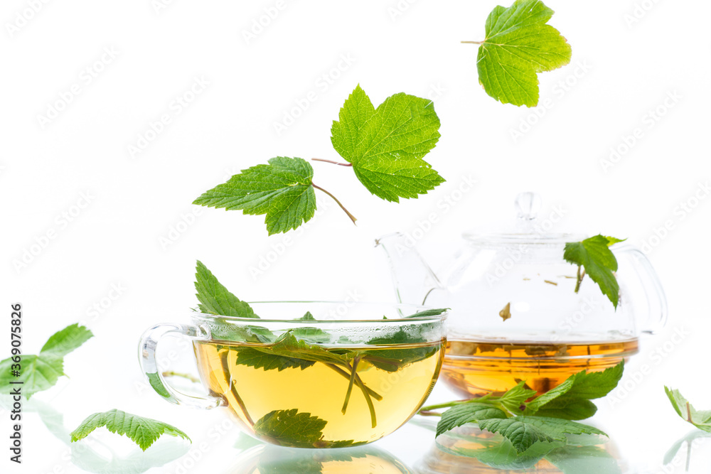 summer refreshing organic tea from currant leaves in a glass teapot summer refreshing organic tea from currant leaves in a glass teapot
