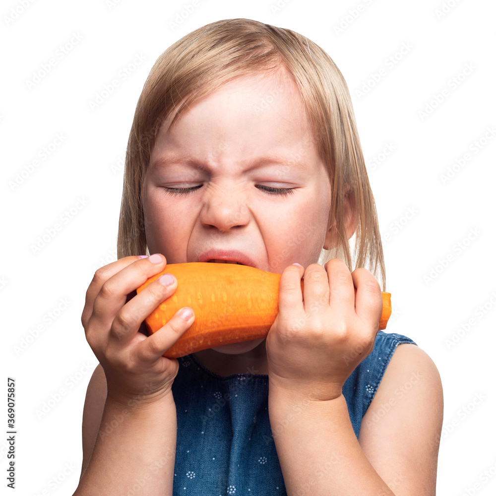 little girl with blond hair eats a large carrot on a white isolated background. fresh vegetables are good for children little girl with blond hair eats a large carrot on a white isolated background. fresh vegetables are good for children