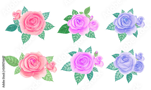 Watercolor rose bouquet elements set. Hand drawn vector illustration.