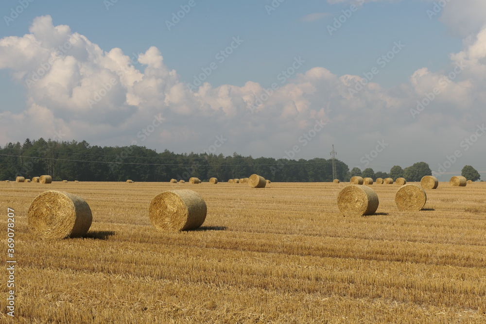 Landschaft mit Strohballen nach einer Heuernte im Sommer auf einem Feld
