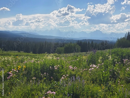 Landscape in the Tetons Valley in Wyoming