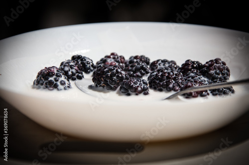 Obraz na płótnie blackberries in the yoghurt in a white plate w salonie