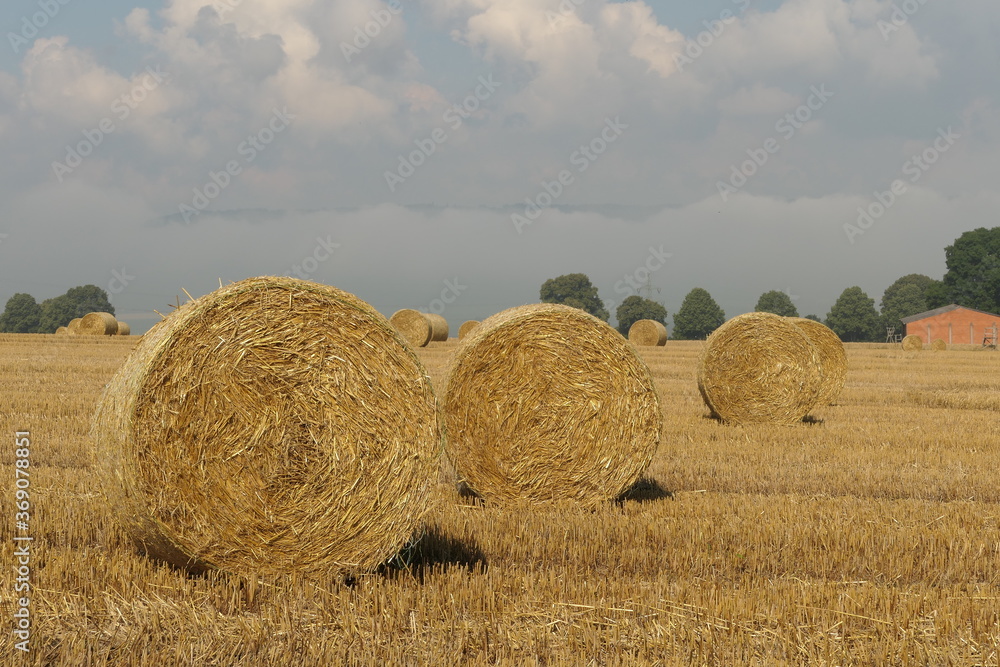 Landschaft mit Strohballen nach einer Heuernte im Sommer auf einem Feld Landschaft mit Strohballen nach einer Heuernte im Sommer auf einem Feld