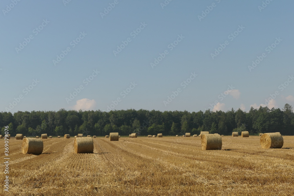 Fototapeta premium Landschaft mit Strohballen nach einer Heuernte im Sommer auf einem Feld
